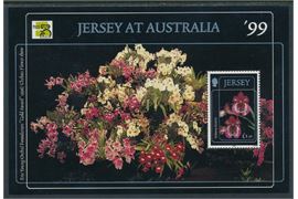 Jersey 1999