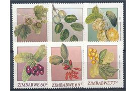 Zimbabwe 1991