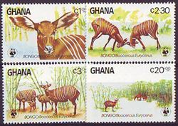 Ghana 1984