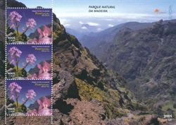 Madeira 1999