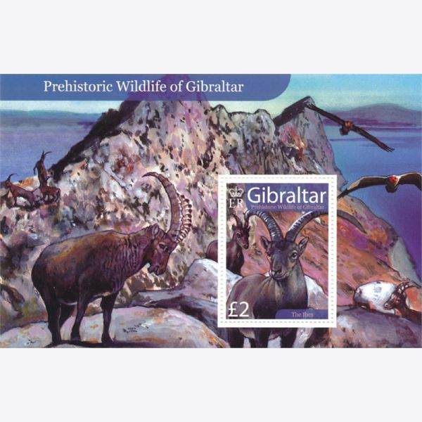 Gibraltar 2007