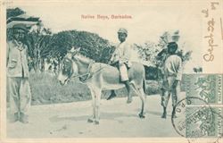 Barbados 1907