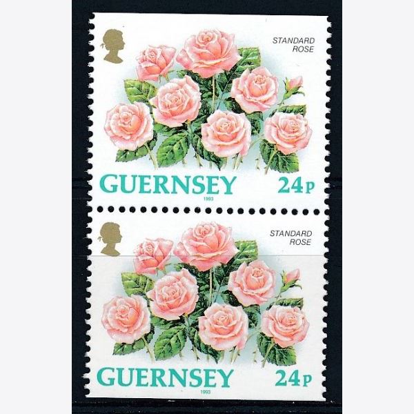 Guernsey 1993