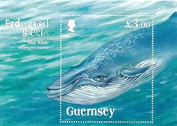 Guernsey 2011