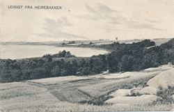 Denmark 1907