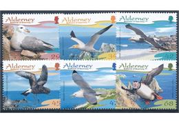 Alderney 2006
