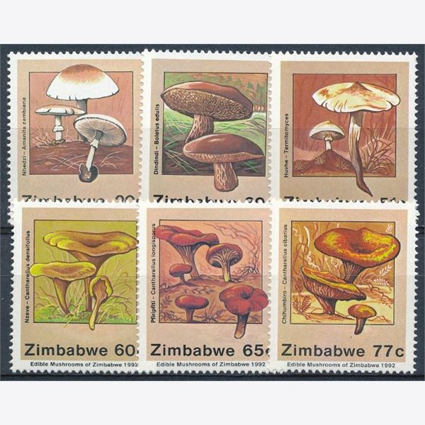 Zimbabwe 1992