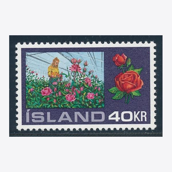 Island 1972