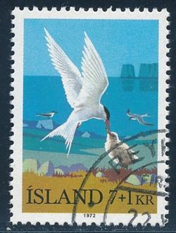 Island 1972