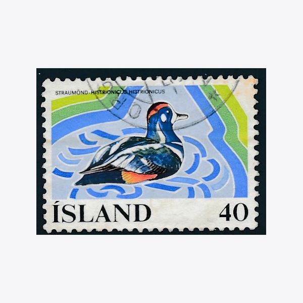 Island 1977