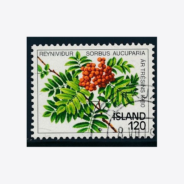 Island 1980