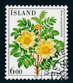 Island 1984