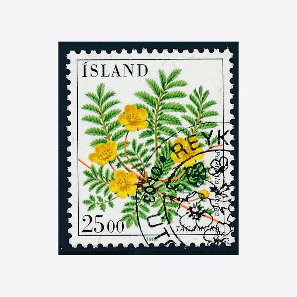 Island 1984