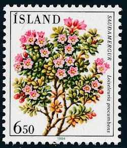 Island 1984