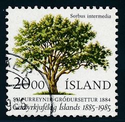 Island 1985