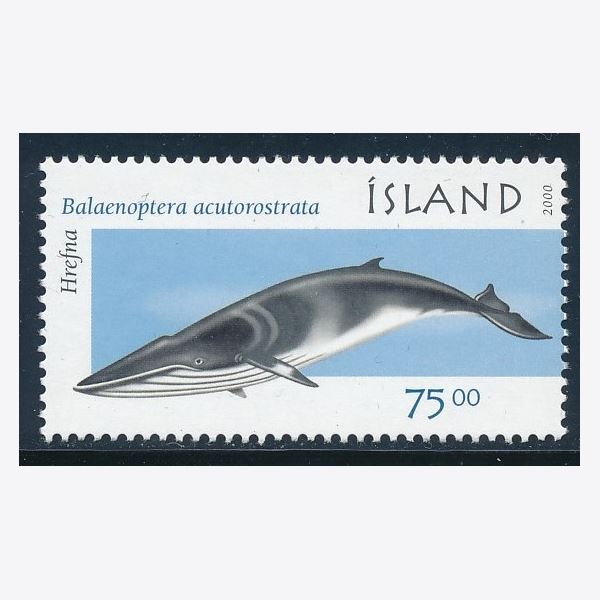 Island 2000