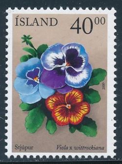 Island 2000