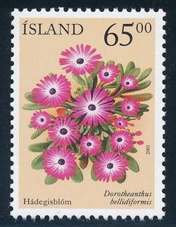 Island 2001