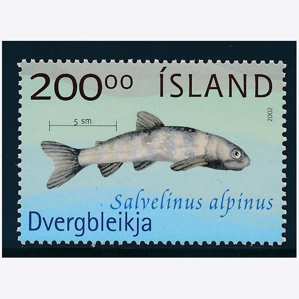 Island 2002