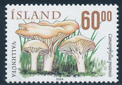 Island 2004
