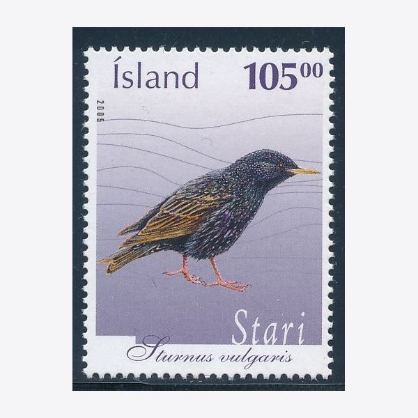 Island 2005