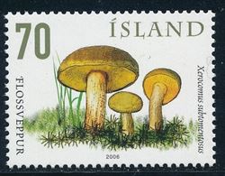 Island 2006