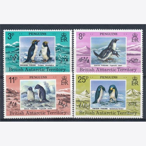 British Antarctic 1979