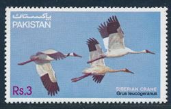 Pakistan 1983