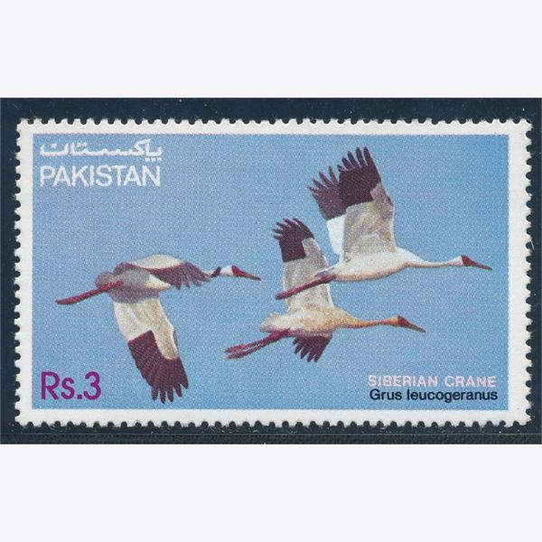 Pakistan 1983
