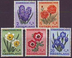 Holland 1953