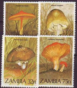 Zambia 1984