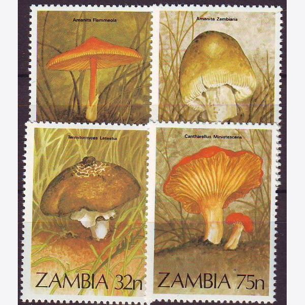Zambia 1984