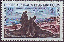Fransk Antarktis 1962