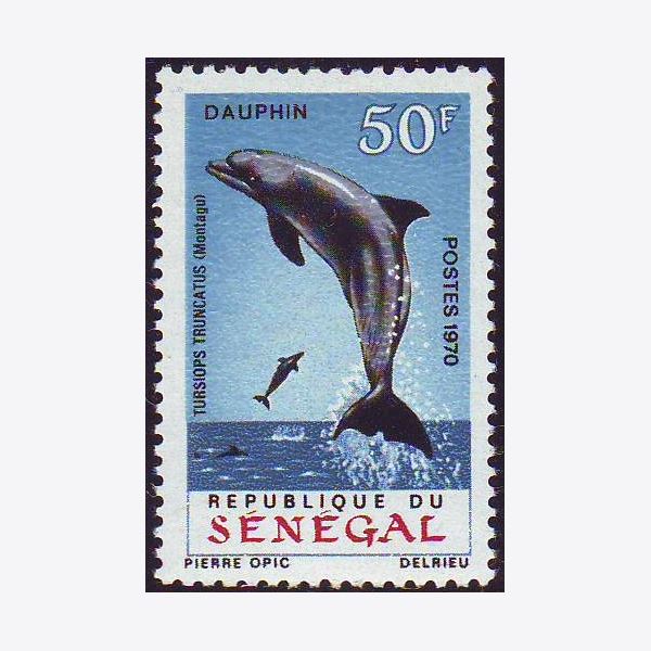 Senegal 1970
