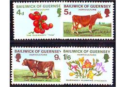 Guernsey 1970