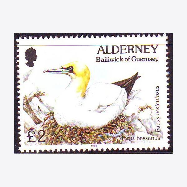 Alderney 1995
