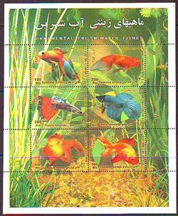 Iran 2004
