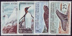 Fransk Antarktis 1960