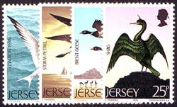 Jersey 1975