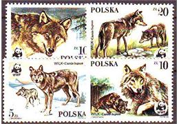 Polen 1985