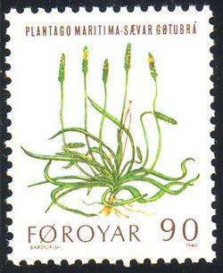 Færøerne 1980