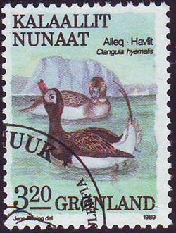 Greenland 1989