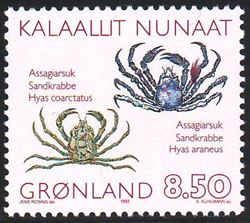 Grønland 1993