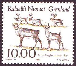 Grønland 1993