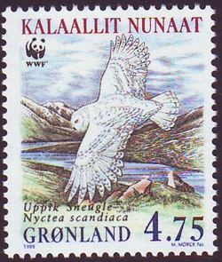 Grønland 1999