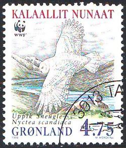 Grønland 1999