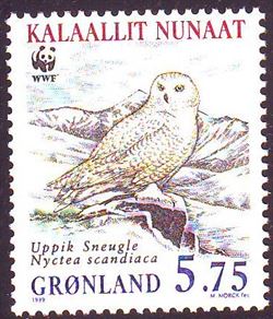 Grønland 1999