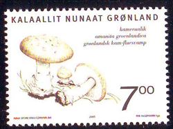 Grønland 2005