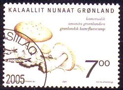 Grønland 2005