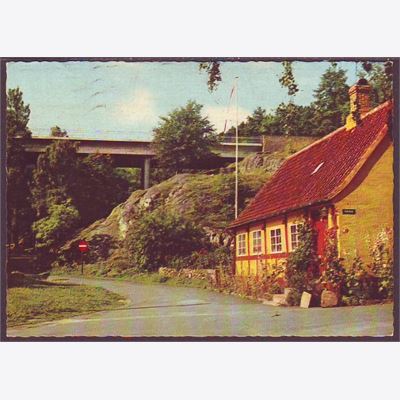 Danmark 1981